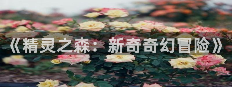 51动漫18禁：《精灵之森：新奇奇幻冒险》