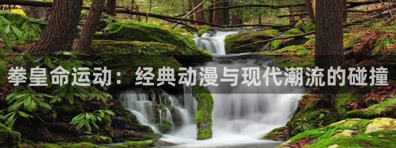 51动漫免费看：拳皇命运动：经典动漫与现代潮流的碰撞