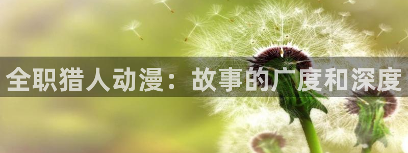 51动漫网址：全职猎人动漫：故事的广度和深度